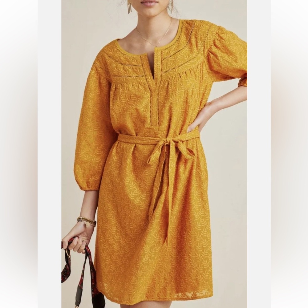NEW Anthropologie Daniel Rainn Treva Honey Embroidered Tunic Dress NWT XS